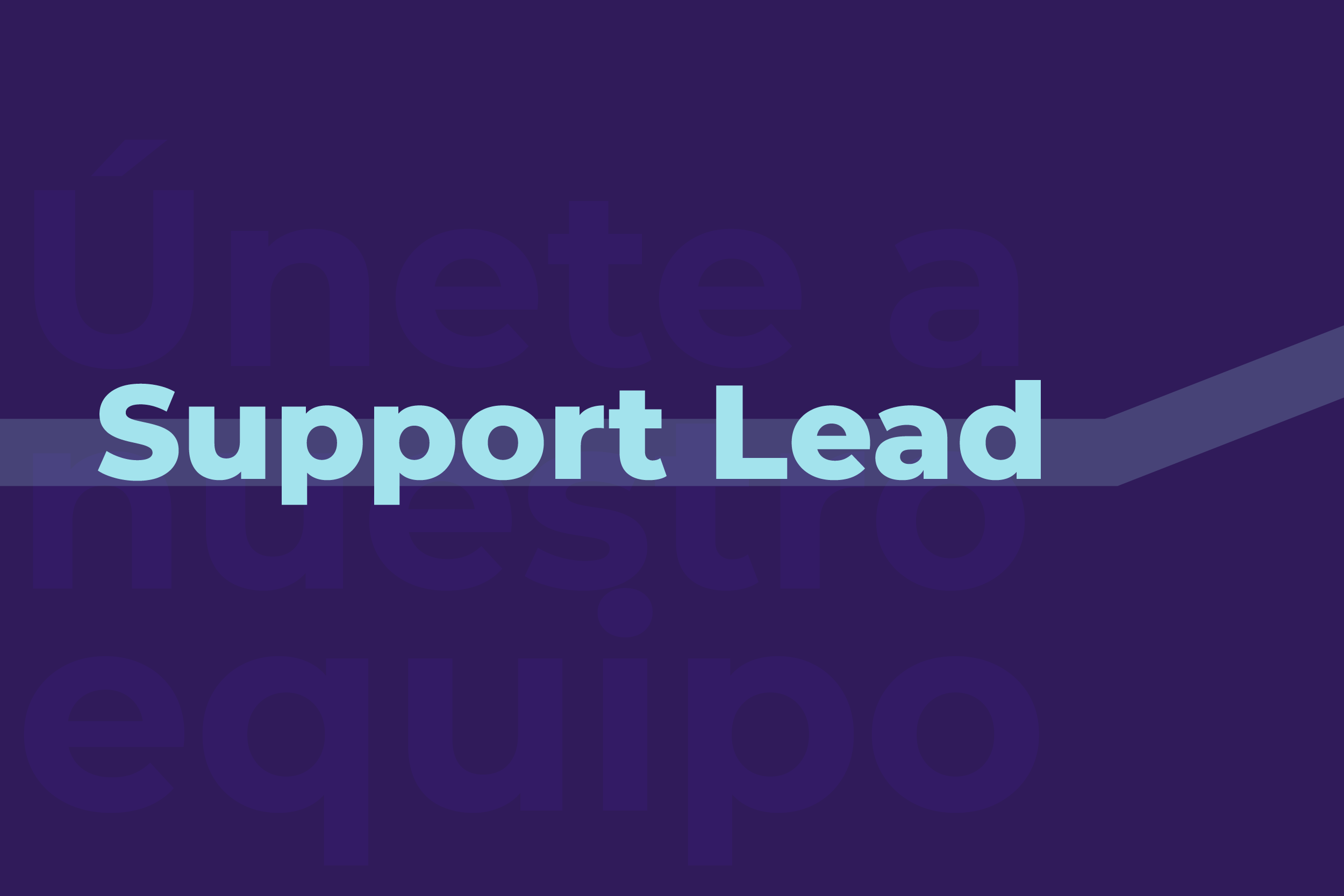 Vacante-Tecnom-Support-Lead
