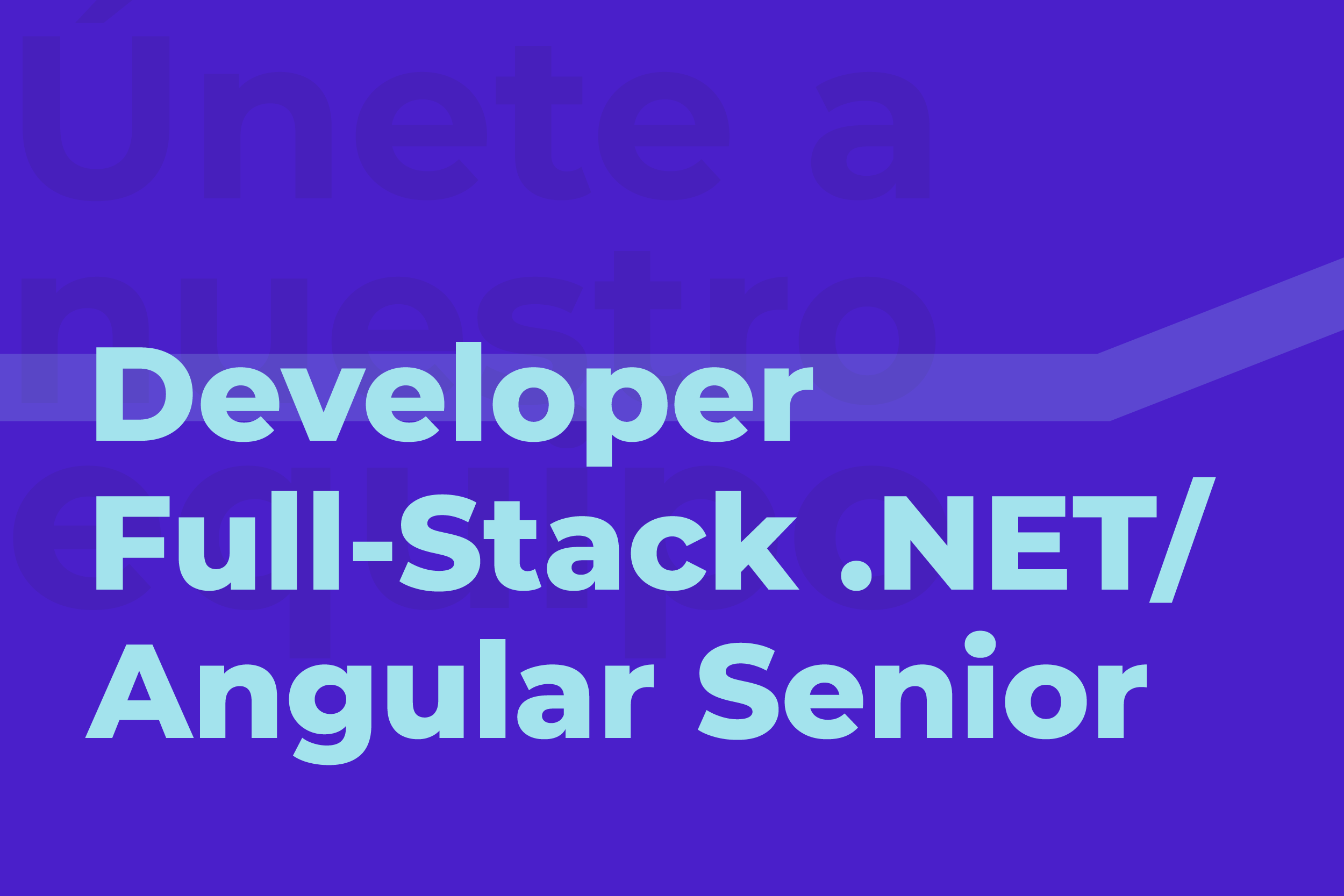 Busqueda-Laboral Developer full stack .NET - Angular Senior-39