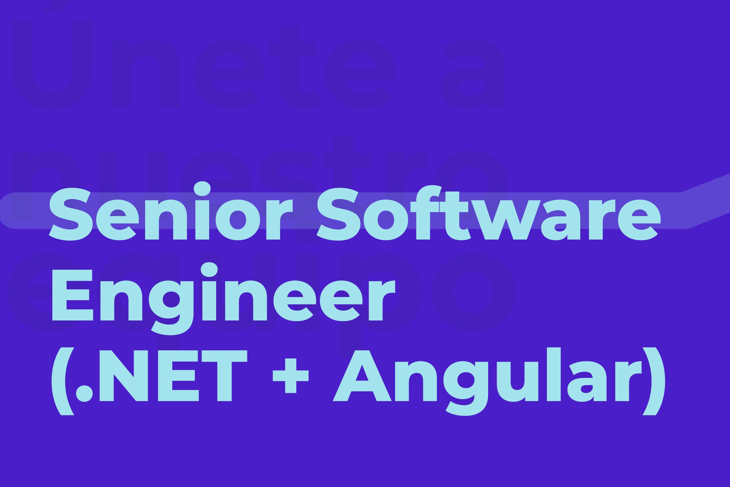 Senior-Software-Engineer